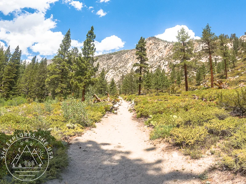 big pine lakes trail