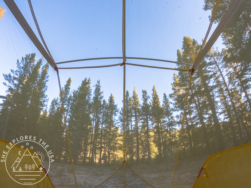 view from my tent at the peaceful meadow