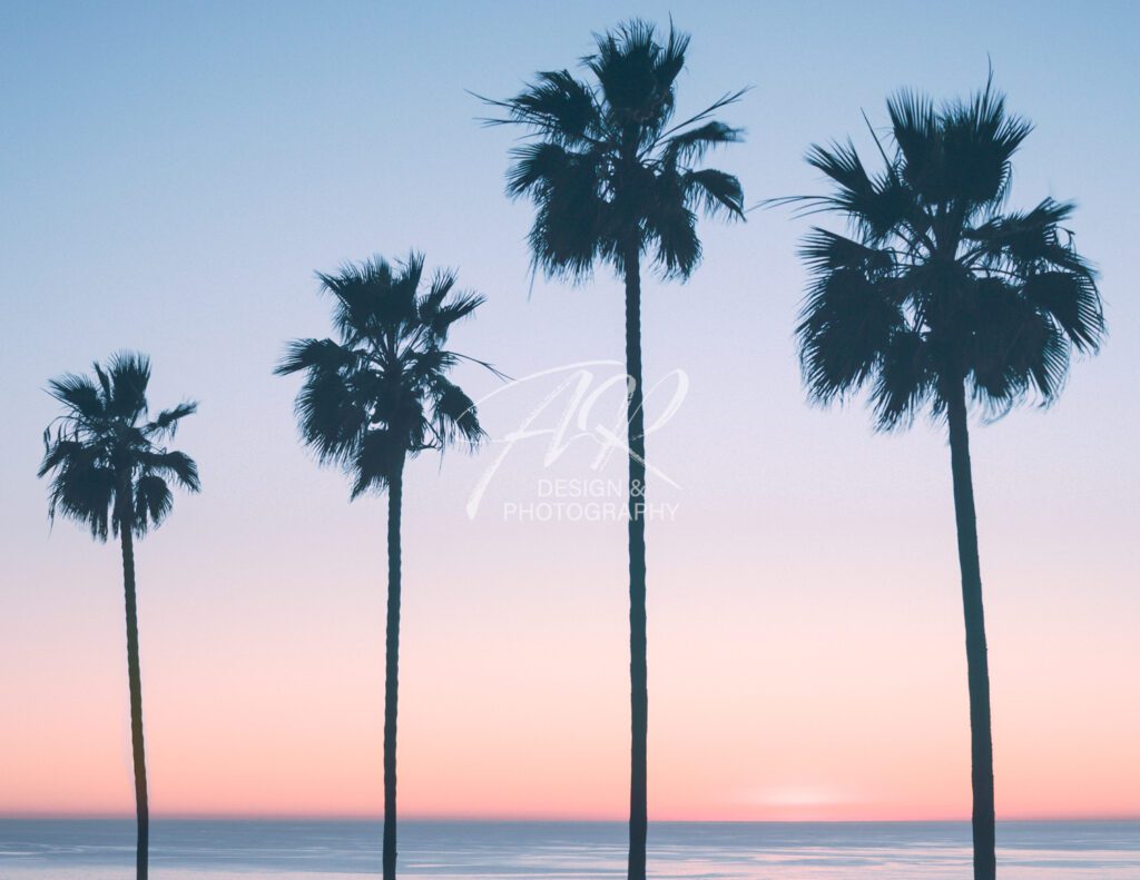 Palm trees and pink and blue sunset sky