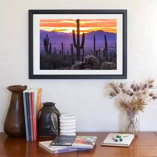 Arizona Cactus Sunset Framed Art Print