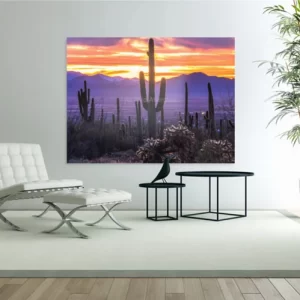 Arizona Sunset