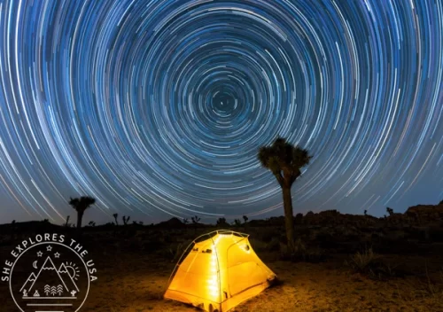 Joshua Tree Star Trail with yellow tent