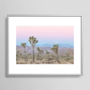 Joshua Tree FRAMED ART PRINT