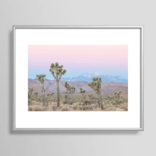 Joshua Tree FRAMED ART PRINT