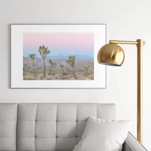 Joshua Tree Sunrise - Image 2