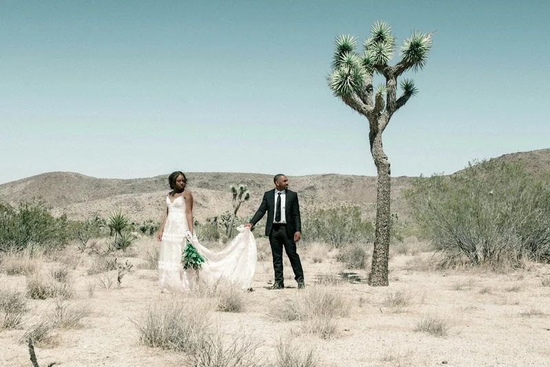 Joshua Tree Wedding: A couple stands together in a desert landscape, with the bride in a flowing wedding gown and the groom in a black suit, set against a backdrop of Joshua trees and arid terrain.
Joshua Tree Wedding Invitations | Joshua Tree Intimate Wedding Venues VRBO