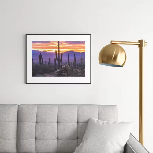 Arizona Cactus Sunset Framed Art Print