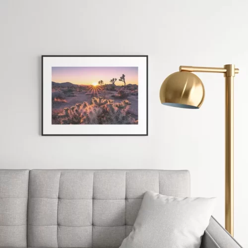 Joshua Tree Sunset Framed Art Print