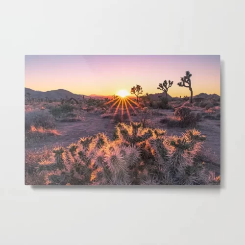 Joshua Tree Sunset Metal Print