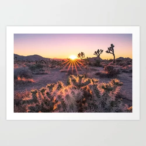 Joshua Tree Sunset Art Print