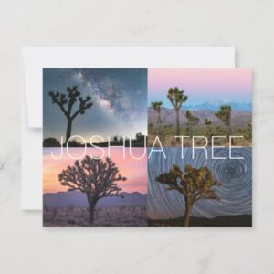 Joshua Tree Postcard