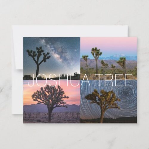 Joshua Tree Postcard