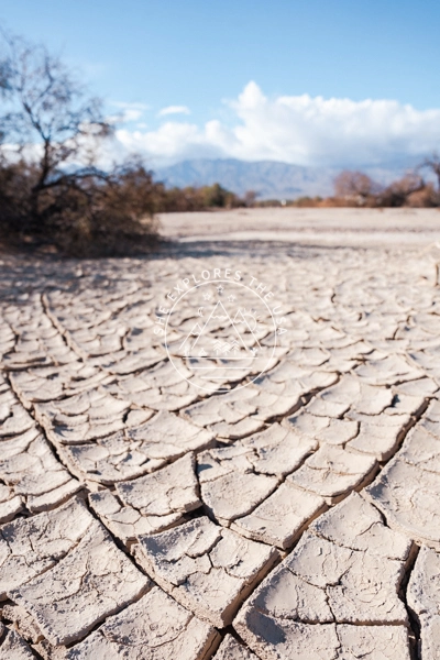 Furnace Creek mud cracks 1