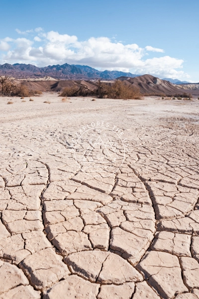 Furnace Creek mud cracks 3
