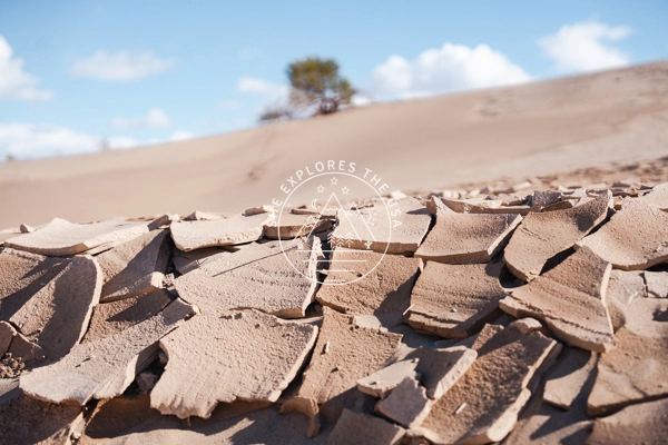 stovepipe wells mud cracks 2