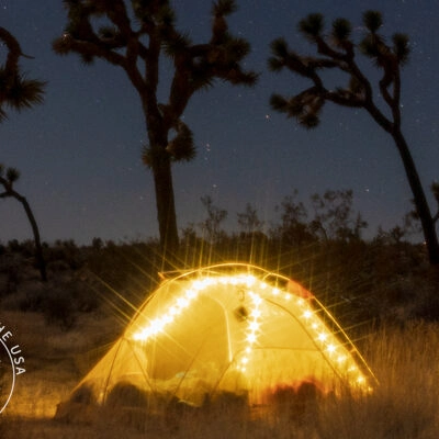 MTNGLO STRING LIGHTS