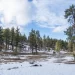 Mount Laguna