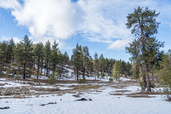 Mount Laguna