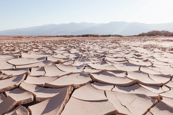 death valley mud cracks near popular trailhead 2