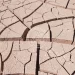 death valley mud cracks