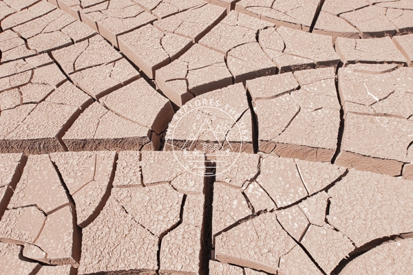 death valley mud cracks