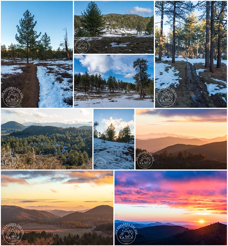 Winter Wonderland in Mount Laguna, San Diego, CA
