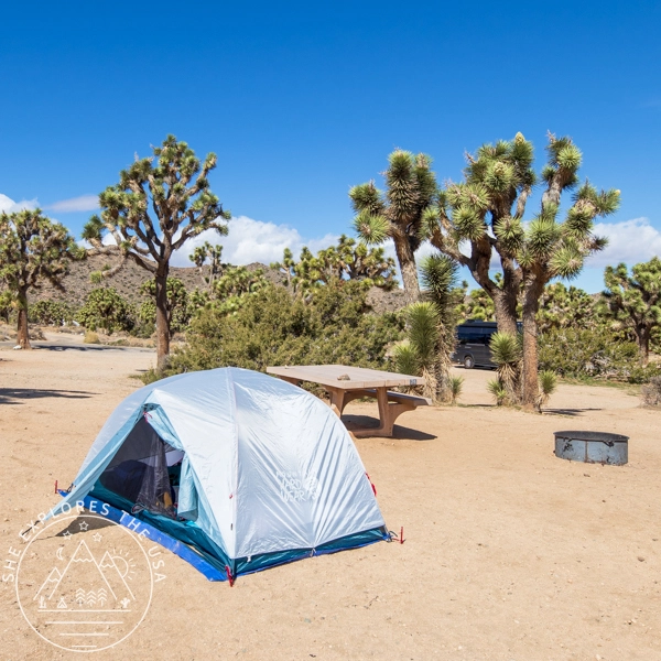 Mineral King Tent Tent in Joshua Tree