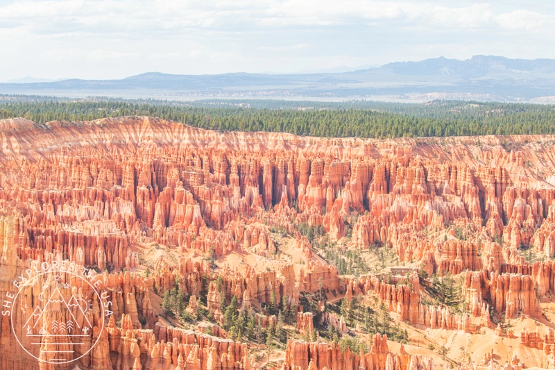 views from the Bryce Canyon Rim Trail walk