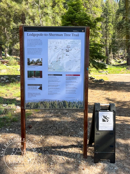 Lodgepole to Sherman Tree trailhead in Sequoia National Park