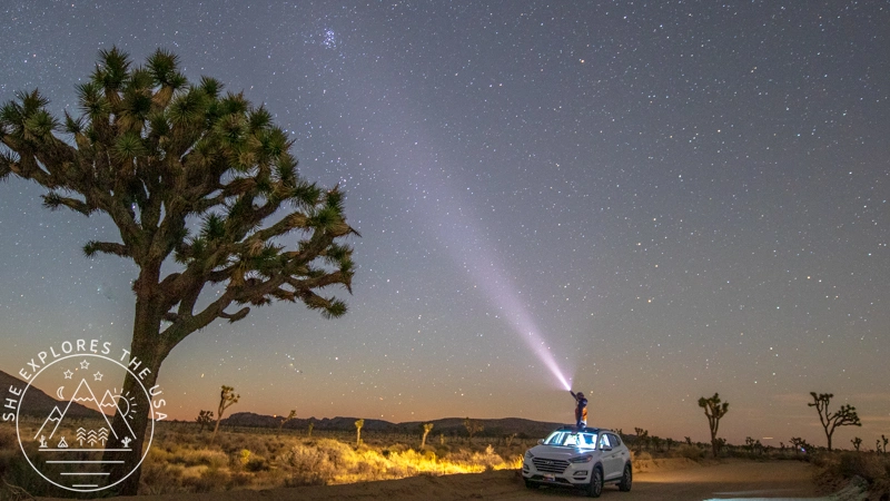 Stargazing? Discover the Best Books for Stargazers