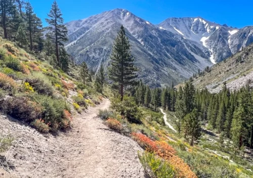 leave no trace