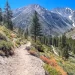 leave no trace
