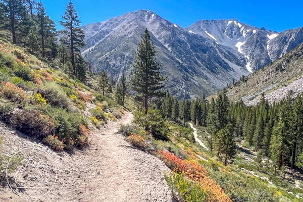 leave no trace