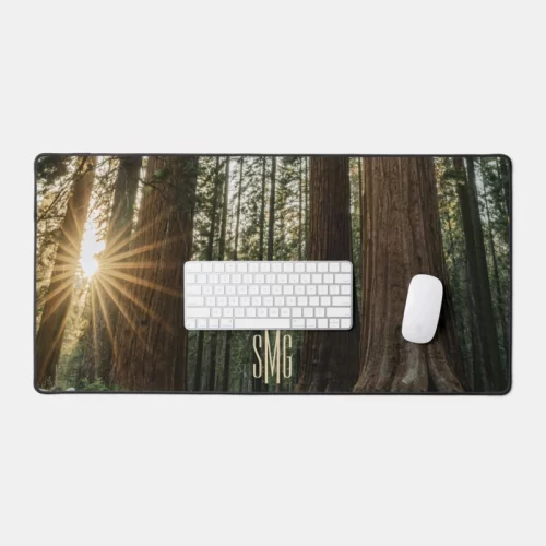 Sequoia Trees Sunset - Image 2