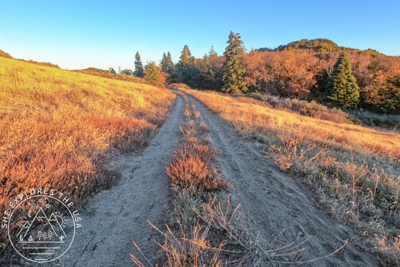 Hot Springs Mountain Trail