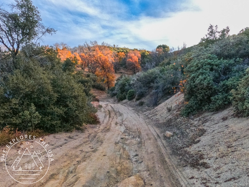 the trail with striking fall foliage