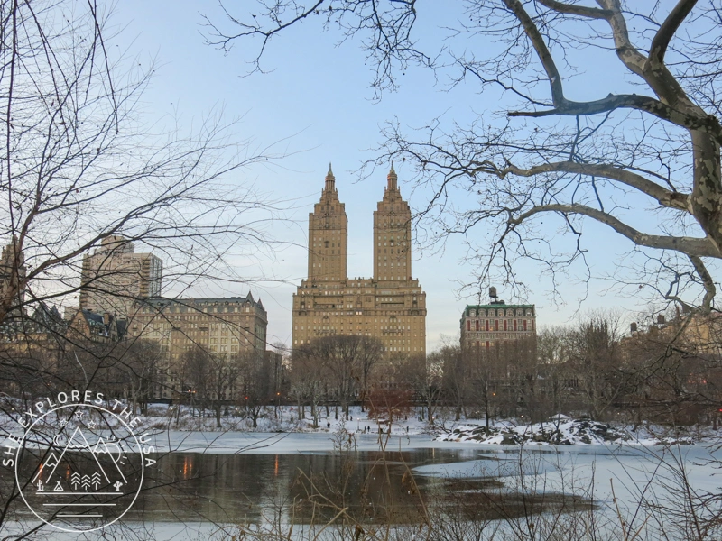 Central park in winter with frozen lake