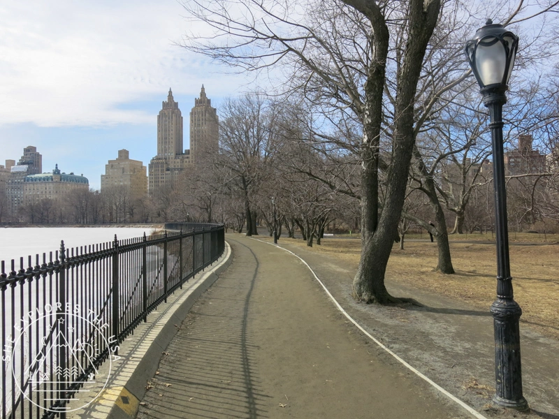 central park in winter