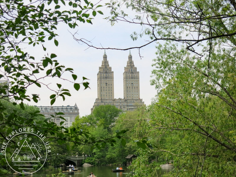 central park with green leaves