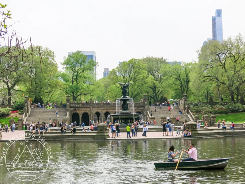 central park in the spring
