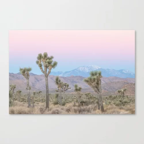 Joshua Tree CANVAS PRINT