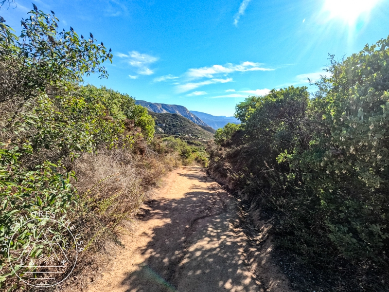 El cajon Mountain trail 1
