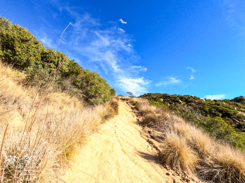 El cajon Mountain trail 2