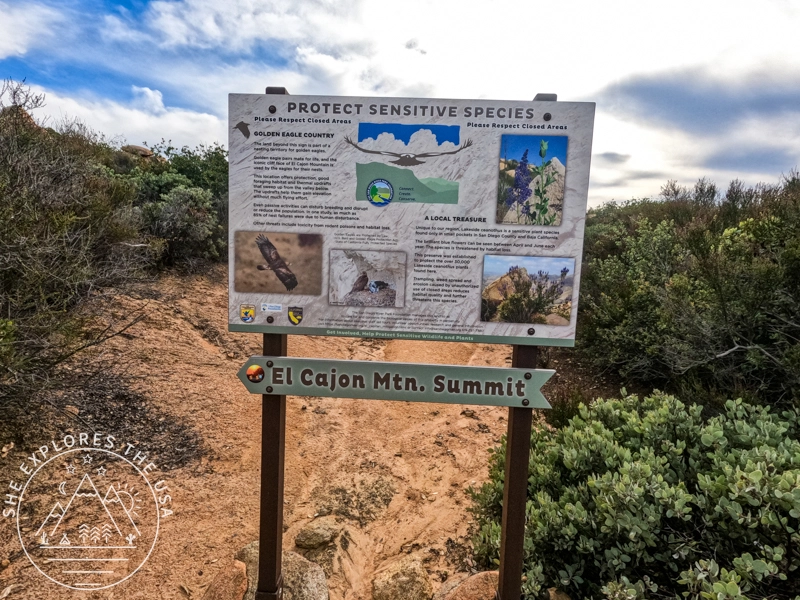 El cajon Mountain trail - the best sign i saw on trail pointing to the summit