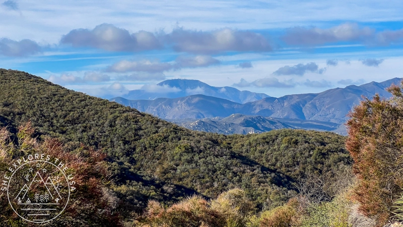 views from Sitton Peak summit