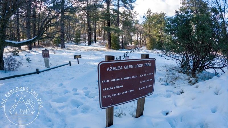snow covered trailhead