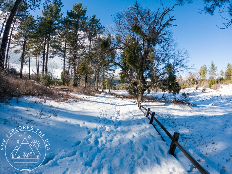 snow covered trail