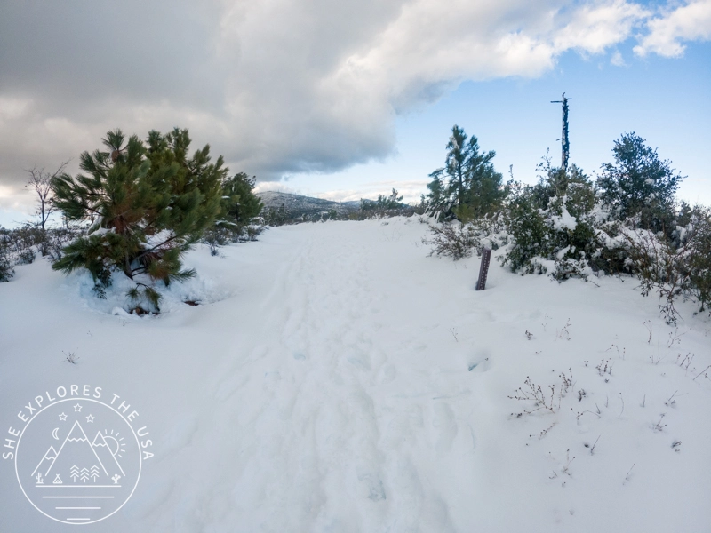snow covered service road