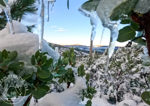 stalactites