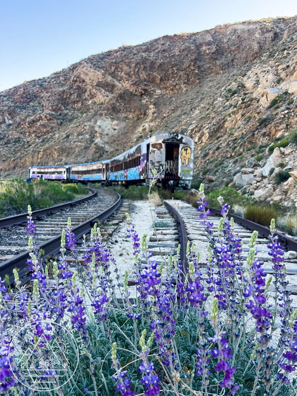 abandoned train carriage in the desert